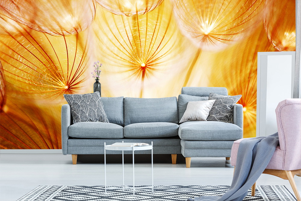 Fototapete - Detailaufnahme von Löwenzahnsamen in Goldtönen hinter einer grauen Couch