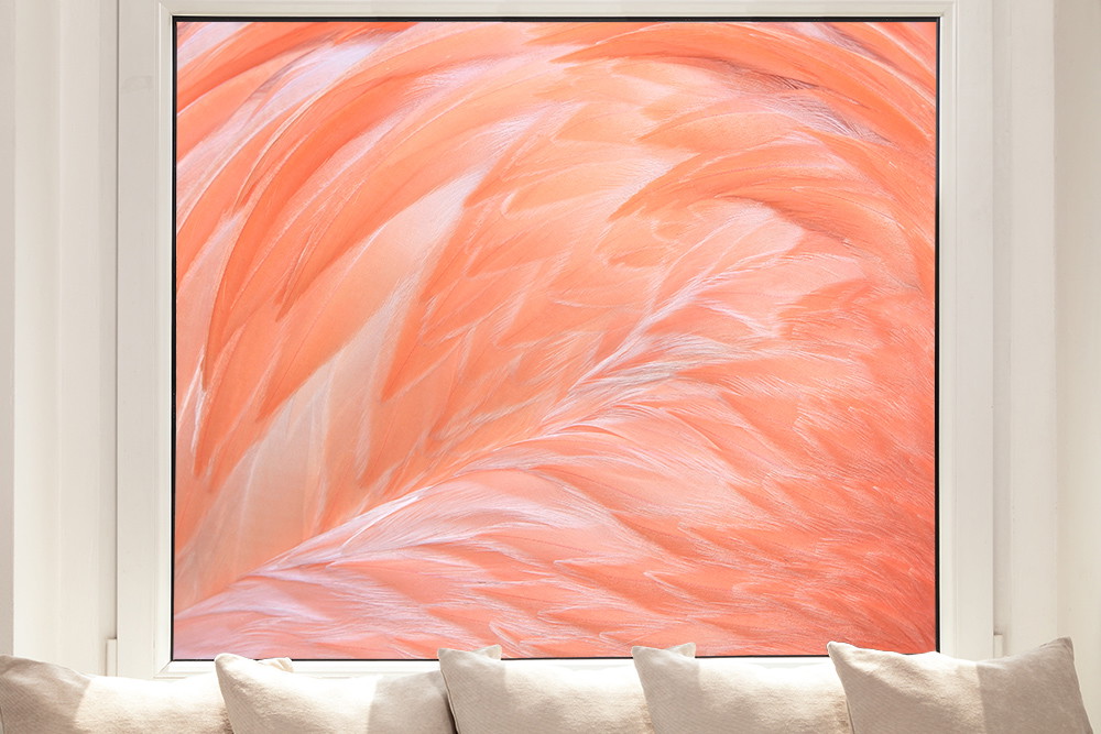 Raamfolie - Flamingo veer