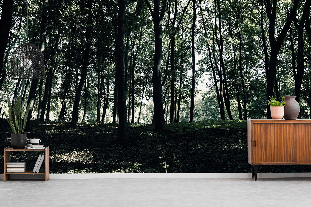 Muurschildering - Dicht bebost gebied, doordrongen door zonnestralen, voor een interieur met moderne meubels