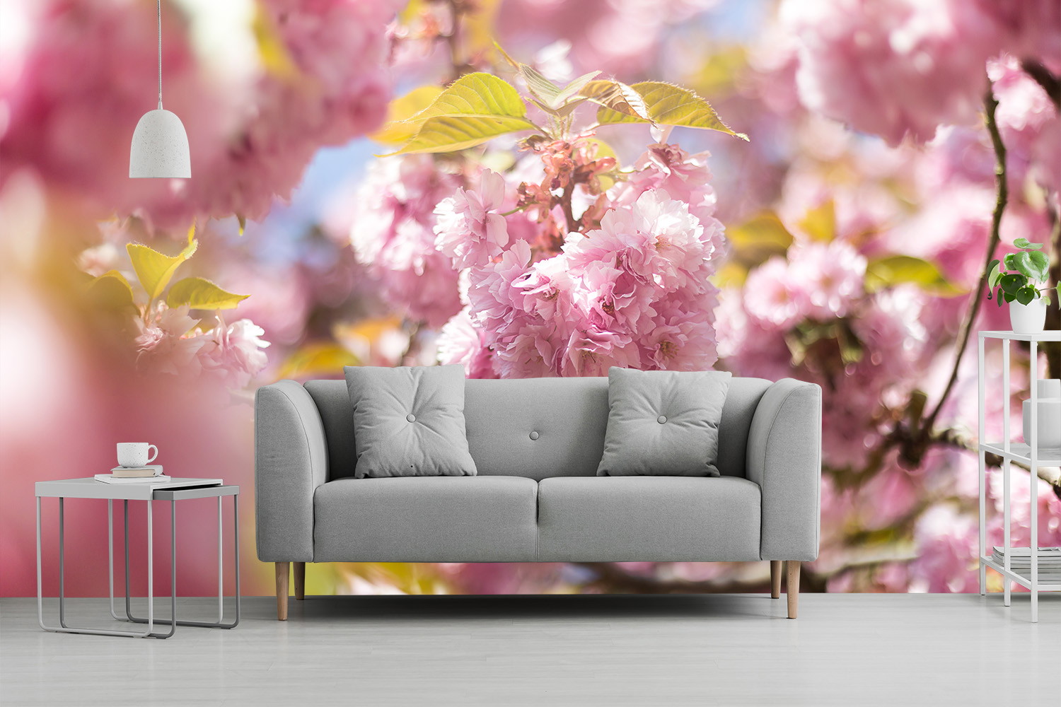 Wall mural - Grey sofa in front of a wall with a pink cherry blossom motif, on the left a white table with a cup.