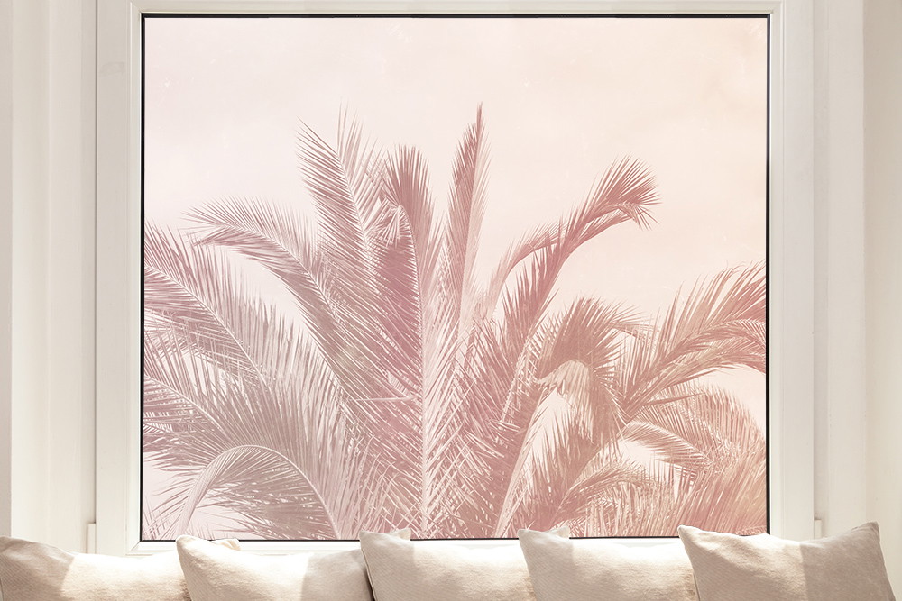 Folia okienna - palma w stylu vintage