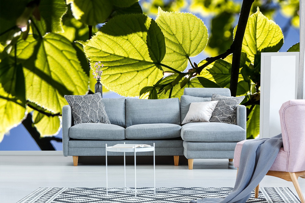 Wall mural - living room with grey sofa and large picture of green leaves in the background