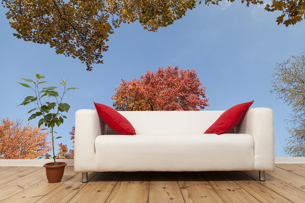 Fototapete - Weißes Sofa mit roten Kissen vor einer Fototapete mit Herbstbäumen und klarem Himmel, daneben eine Topfpflanze auf Holzboden