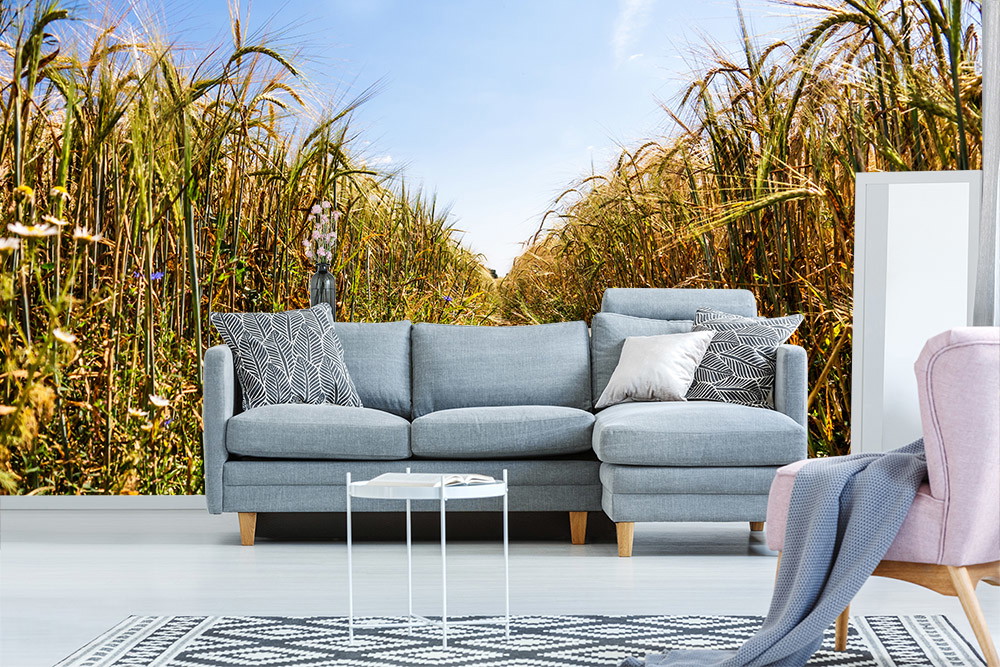 Fototapete - Wohnzimmer mit grauem Sofa vor Fototapete mit hohem Gras und Himmel
