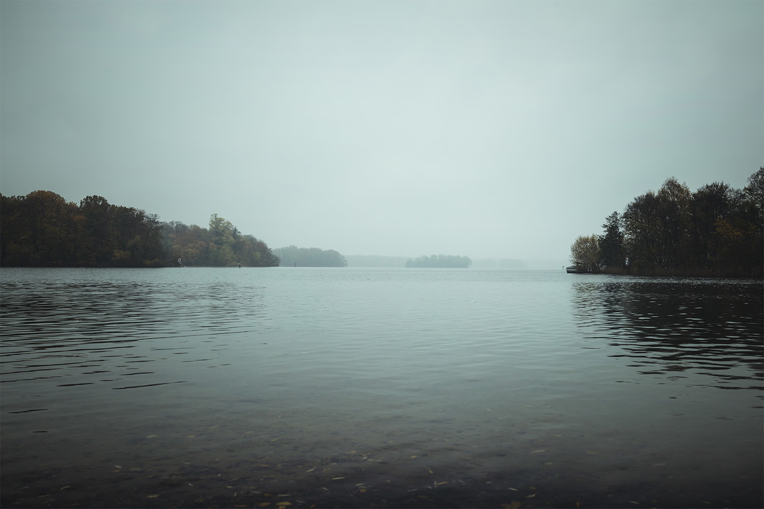 Fototapete - Ein stiller See an einem nebligen Tag, umgeben von dichten Wäldern und trübem Himmel