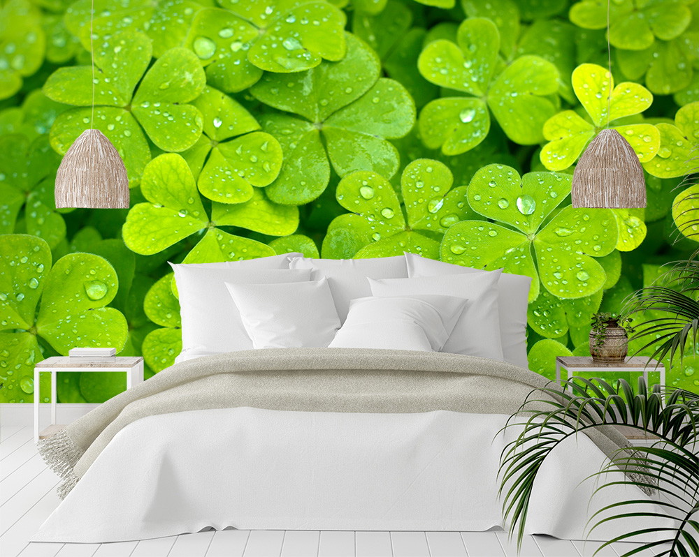Fotomurale - Primo piano di trifogli verdi con gocce d'acqua dietro un'elegante camera da letto bianca.