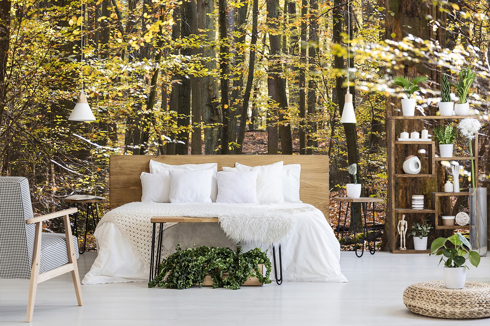 Fotobehang - Slaapkamer met natuurfotobehang van een bos, een wit bed, planten en een houten plank