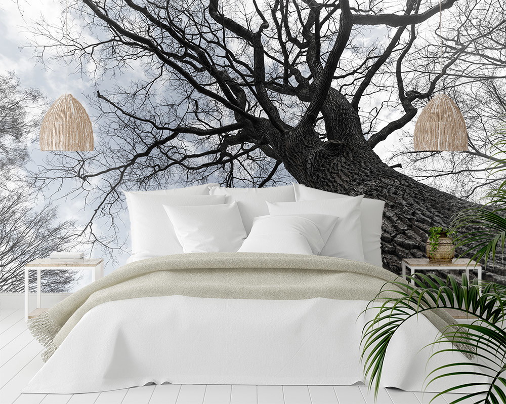 Wall mural - A large tree trunk and branches against a sky background in a bedroom above a white-covered bed