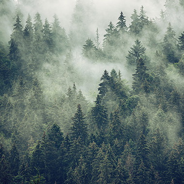 Fotobehang met sprookjesachtige landschappen en mystieke motieven