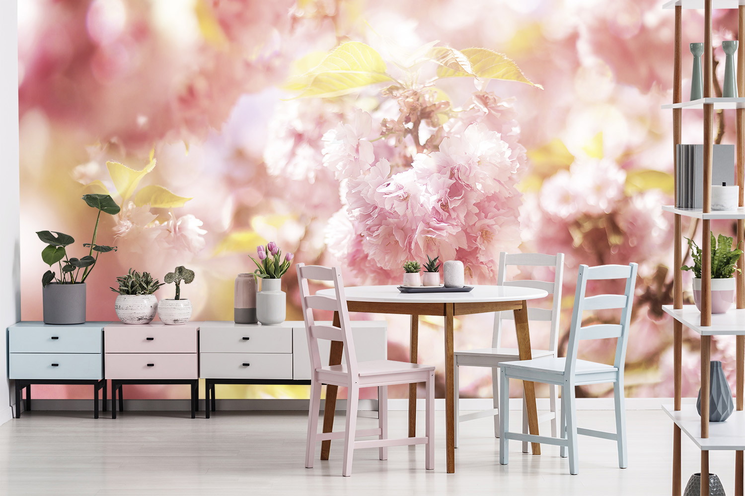Fotomurale - Sala da pranzo con maestosi fiori di ciliegio e arredi moderni