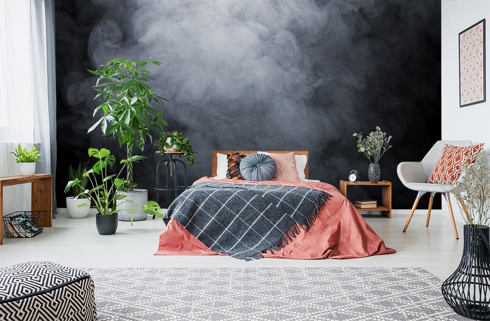 Wall mural - bedroom with plants, modern furnishings and a black wall designed with a dramatic fog effect