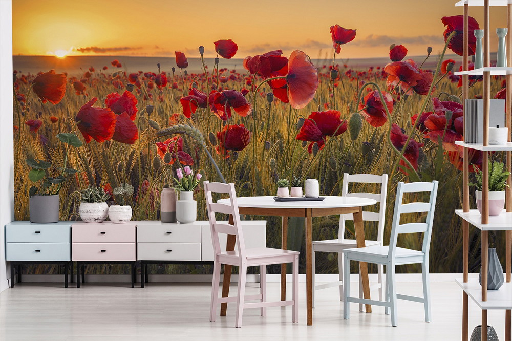 Papier peint photo - champ de coquelicots au coucher du soleil dans la salle à manger comme décoration murale