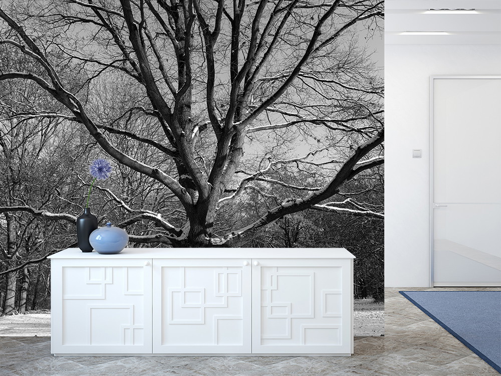 Papier peint photo - Grand arbre couvert de neige en noir et blanc derrière un meuble blanc