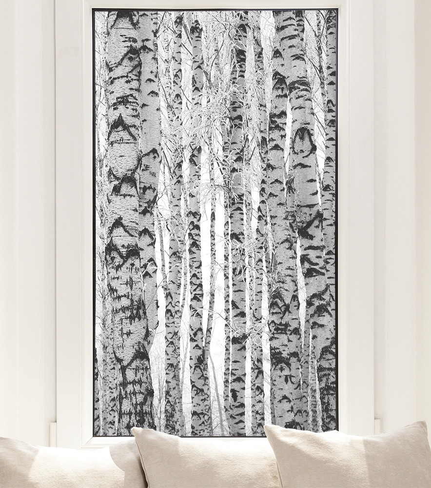 Window film - Birch forest