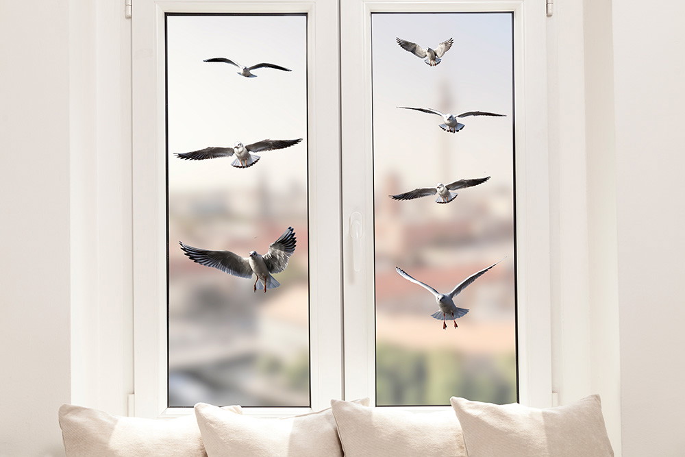Fenstersticker - Möwen fliegen vor einem Fenster mit unscharfem Stadtbild im Hintergrund
