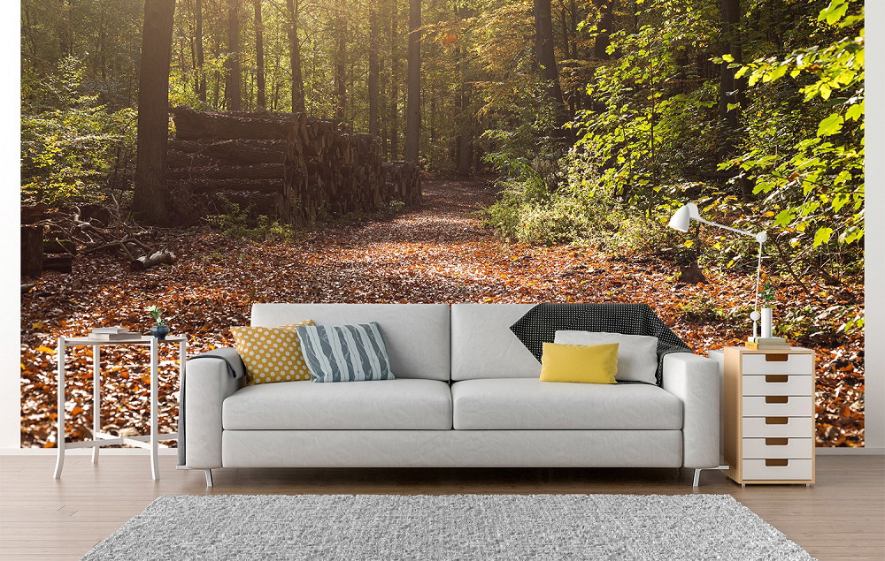 Fototapete - Ein herbstlicher Waldweg, umgeben von Laubbäumen und gefallenen Blättern, mit Sonnenstrahlen, die durch die Bäume scheinen, hinter einem gemütlichen Wohnzimmer-Sofa.