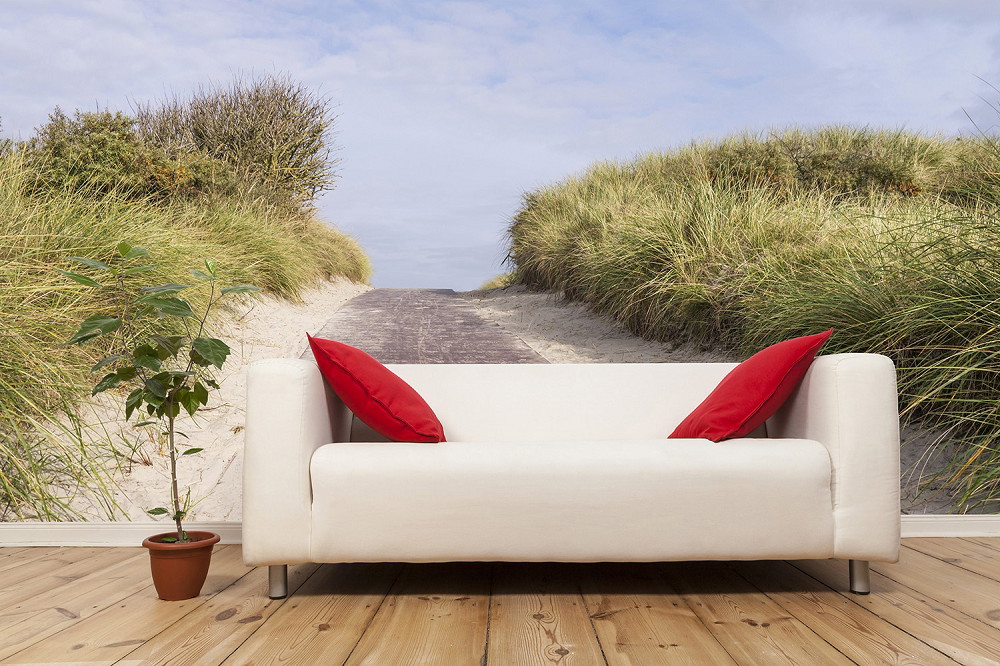 Fototapete - Strandweg zwischen hohen Grasdünen hinter einem Sofa mit roten Kissen