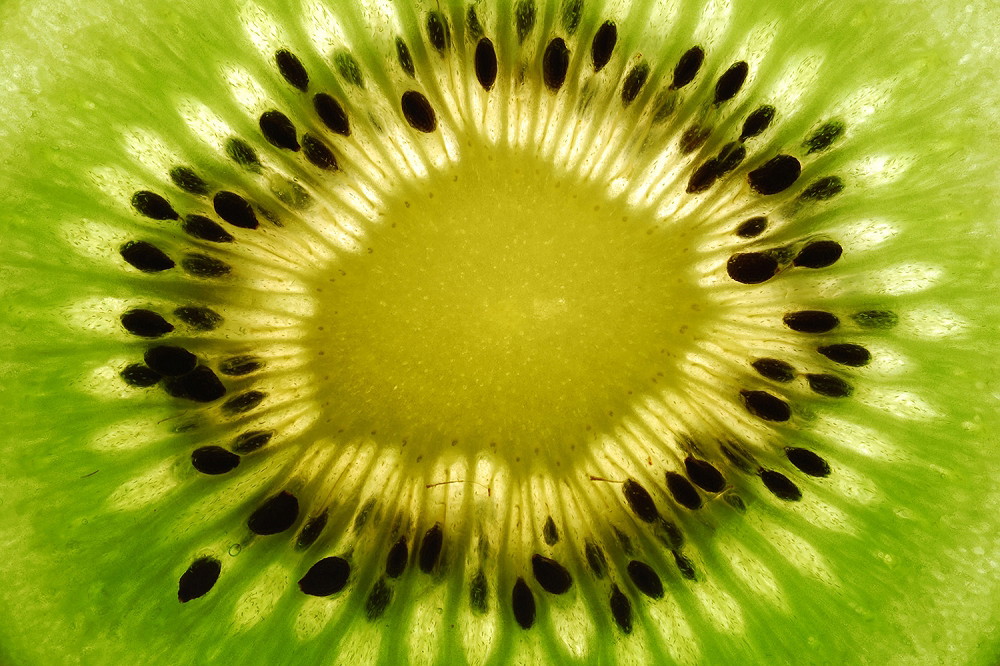 Muurschildering - Gedetailleerde weergave van een verse kiwi met herkenbare texturen en kleuren
