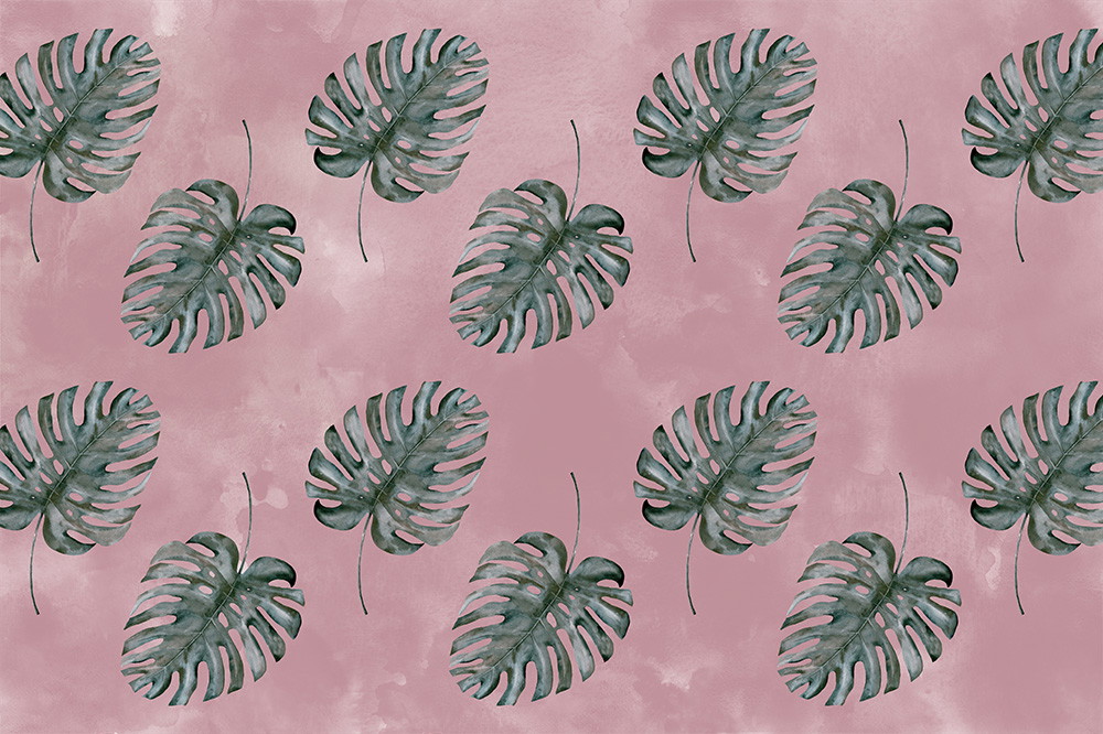 Fototapete - Grüne Monstera-Blätter auf rosa Hintergrund in einem wiederholten Muster