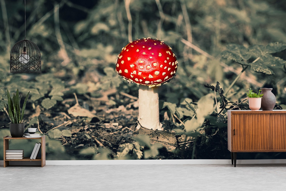 Fototapete - Detaillierte Ansicht eines roten Fliegenpilzes im Wald