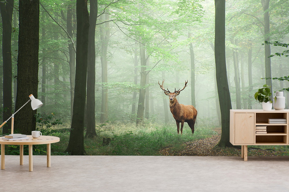 Wall mural - An imposing stag stands on a forest path, surrounded by a green, misty forest. In the foreground, modern furniture emphasises the natural ambience.