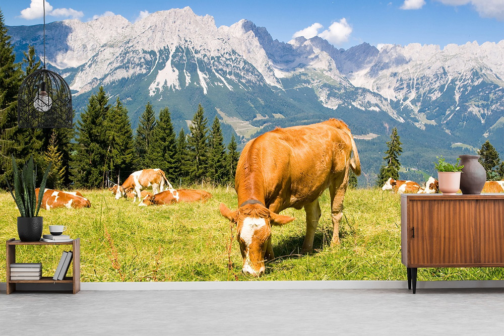 Fototapete - Alpenlandschaft mit Kühen auf einer grünen Wiese vor einer beeindruckenden Bergkulisse