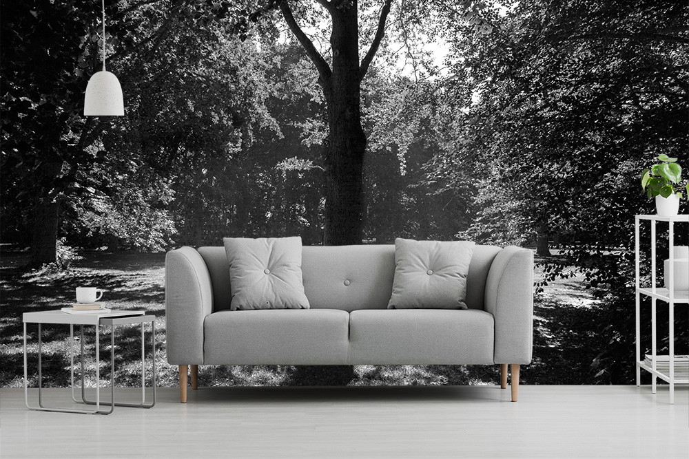 Fototapete - Schwarz-Weiß-Waldmotiv als Hintergrund, graues Sofa im Vordergrund, modernes Wohnzimmerdesign