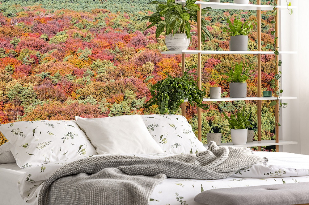 Fotomurale - Paesaggio autunnale colorato in una camera da letto moderna con piante e decorazioni per il letto