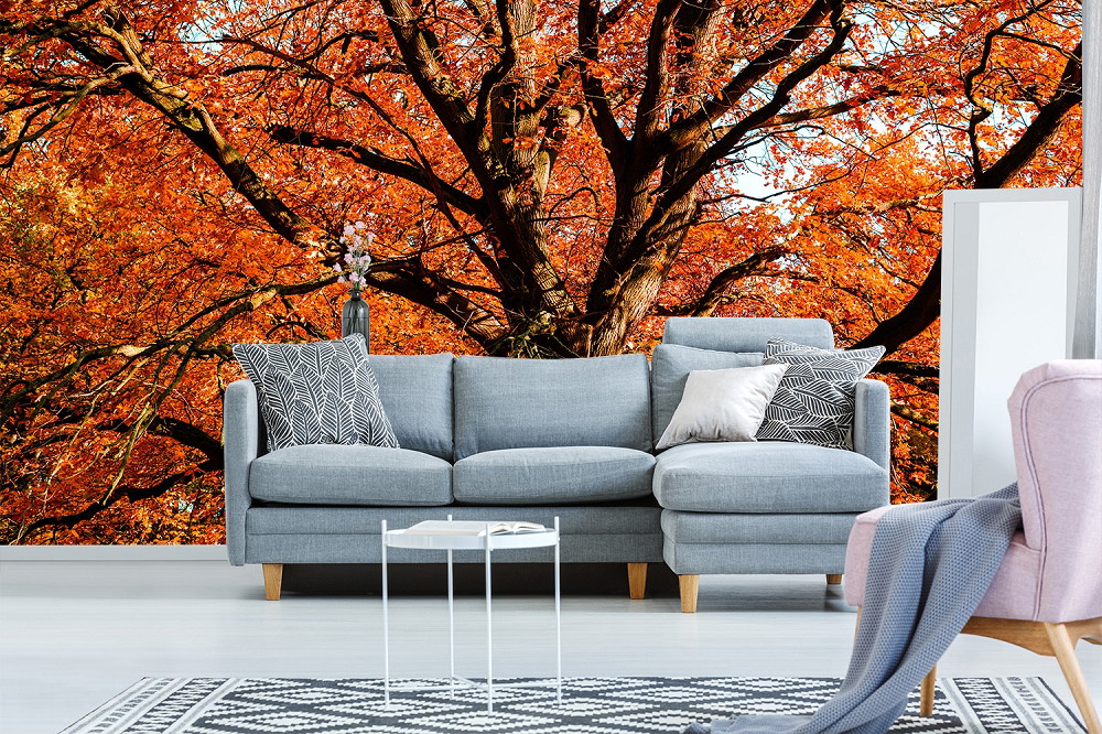 Fotomurale - Soggiorno accogliente con divano grigio, cuscini decorativi e grande albero autunnale sullo sfondo