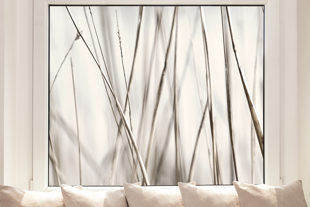Window film - Grasses