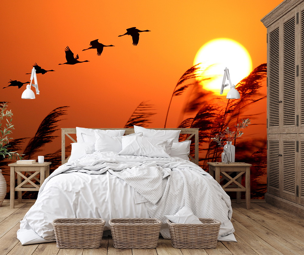 Fototapete - Schlafzimmer mit Sonnenuntergang, fliegenden Vögeln und Schilfgras