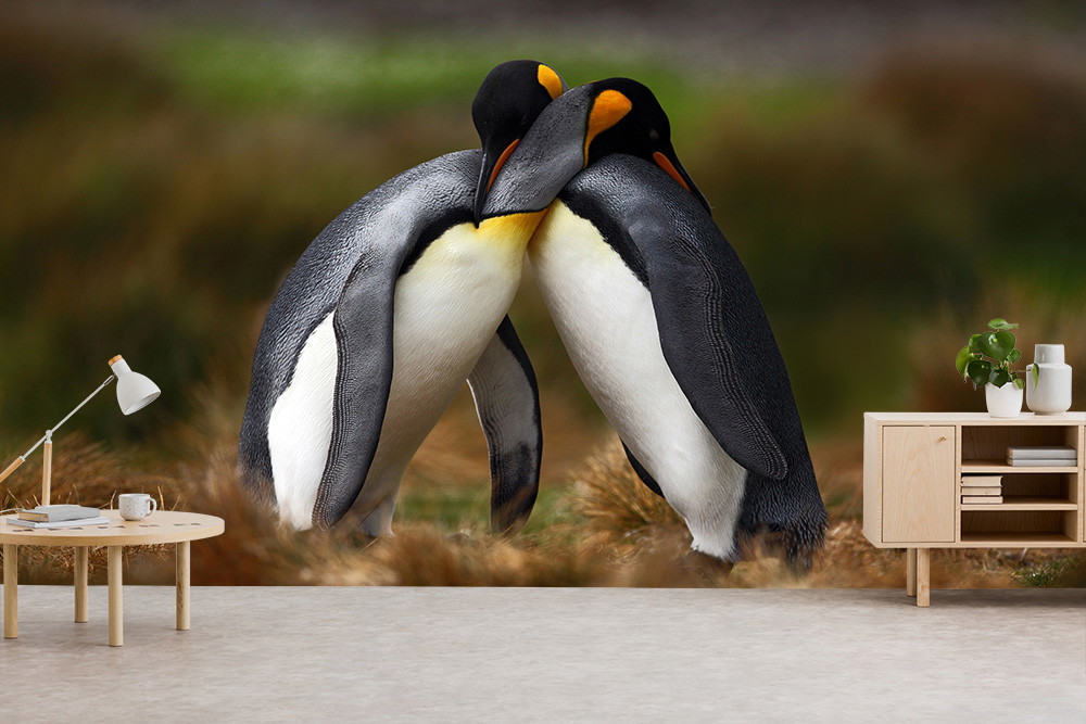 Fototapete - Zwei Pinguine umarmen sich liebevoll auf einer Wiese