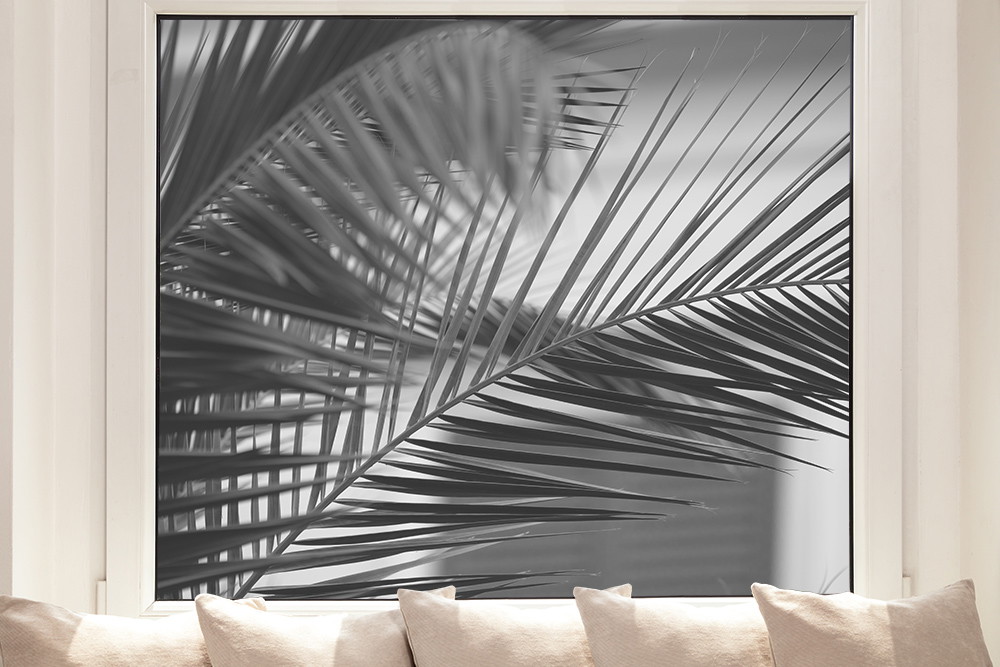 Fensterfolie - Nahaufnahme von Palmenblättern in Schwarz-Weiß vor einem Fenster, dekorativ hinter einem Sofa platziert