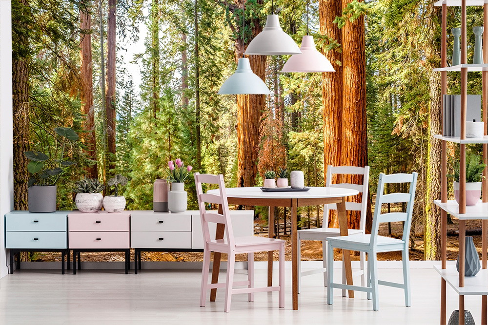 Fototapete - Esszimmer mit Waldlandschaftstapete, Holztisch und bunten Stühlen