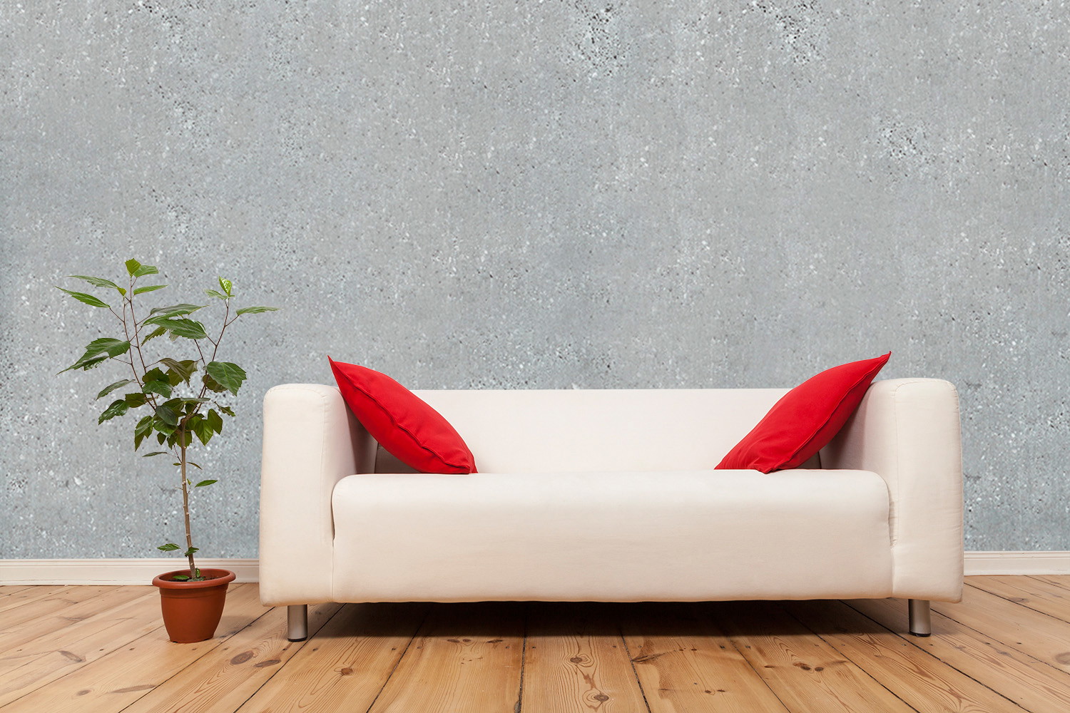 Fototapete - Weißes Sofa mit roten Kissen und Pflanze auf Holzboden vor grauer Wand im Wohnzimmer