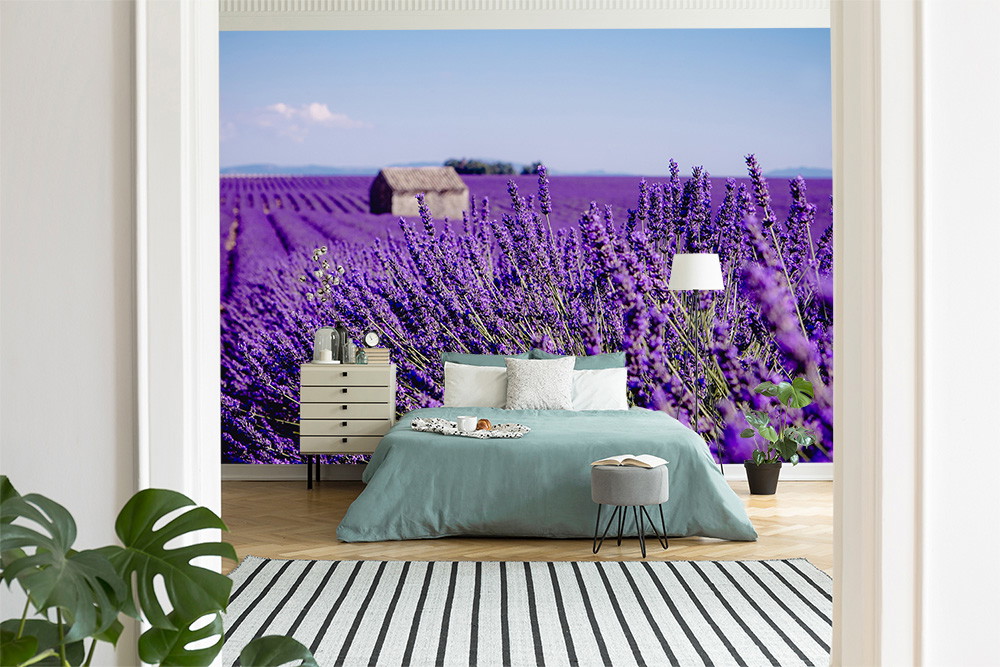 Papier peint photo - chambre à coucher avec vue sur un vaste champ de lavande