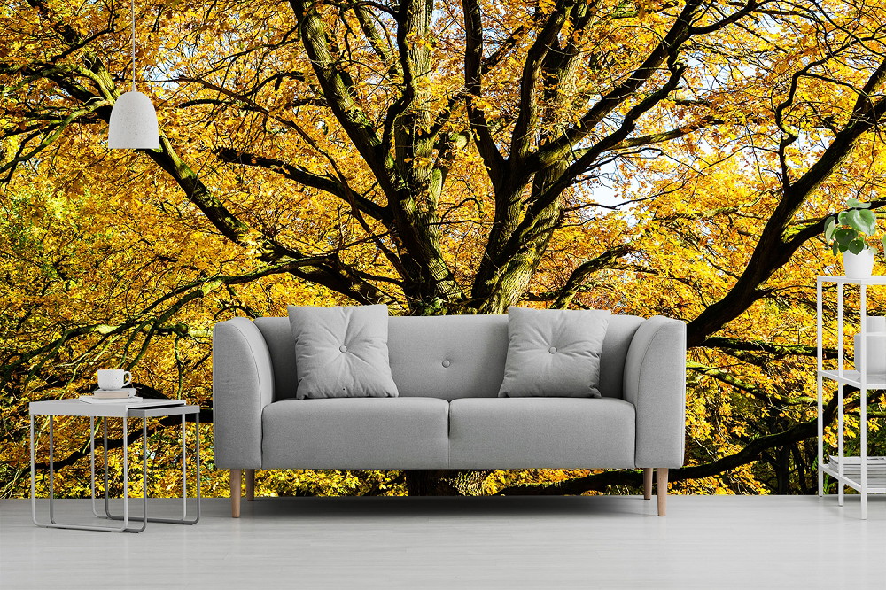 Papier peint photo - Salon moderne avec canapé gris entouré de branches d'arbres jaune vif créant une atmosphère automnale