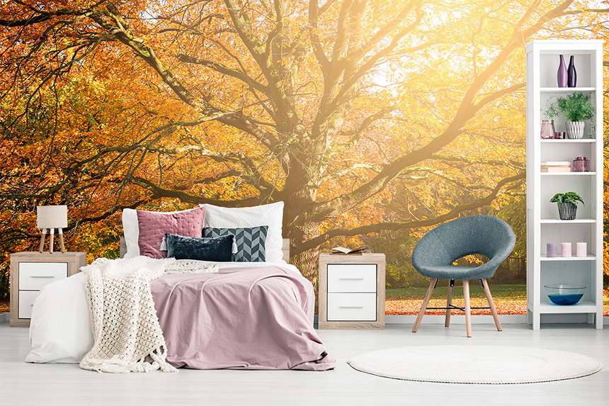 Fotobehang - herfstmotief in slaapkamer behang herfstbos