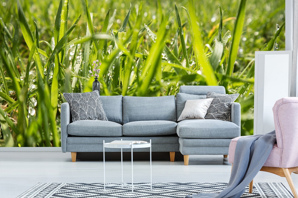 Fototapete - Nahaufnahme von grünem Gras als Wanddesign hinter einem modernen Wohnzimmer mit grauer Couch und gemusterten Kissen