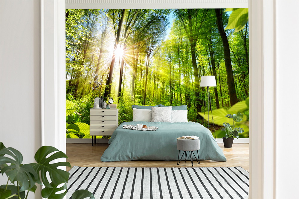 Papier peint photo - Une chambre avec un grand papier peint représentant une forêt avec des rayons de soleil à travers les arbres.