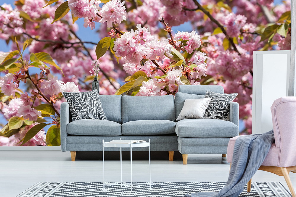 Fototapete - Großformatige Kirschblüten mit rosa Blüten und grünen Blättern hinter einer modernen Sofalandschaft im Wohnzimmer