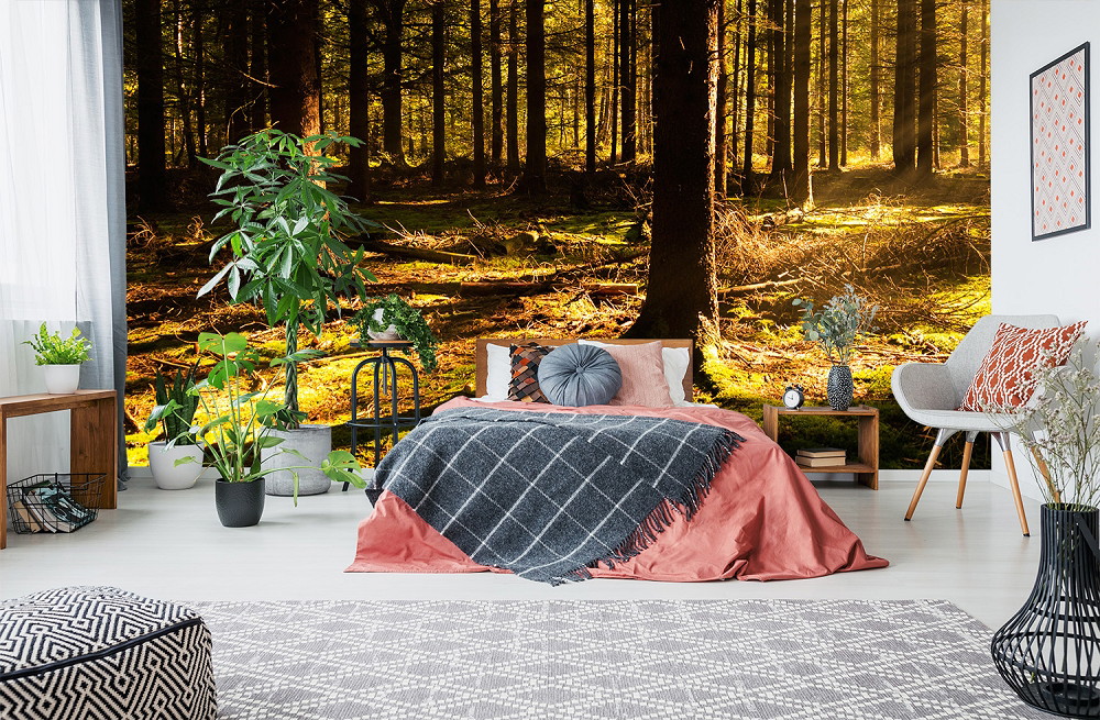 Fototapete - Schlafzimmer mit Waldmotiv, Sonnenlicht strömt durch Bäume
