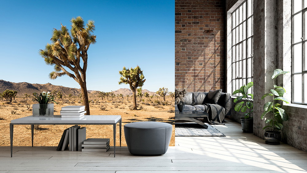 Wall mural - Stylish living room with wall mural of a Joshua tree in a sunny desert landscape, combined with modern furniture and plants