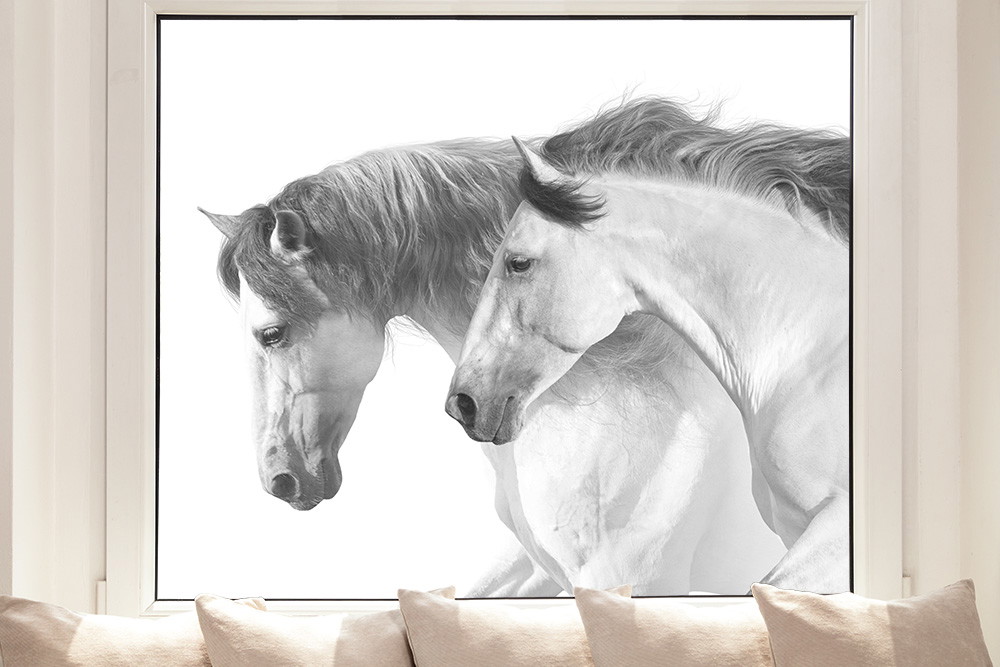 Film pour fenêtre - Deux élégants chevaux blancs pour chambre d'enfant