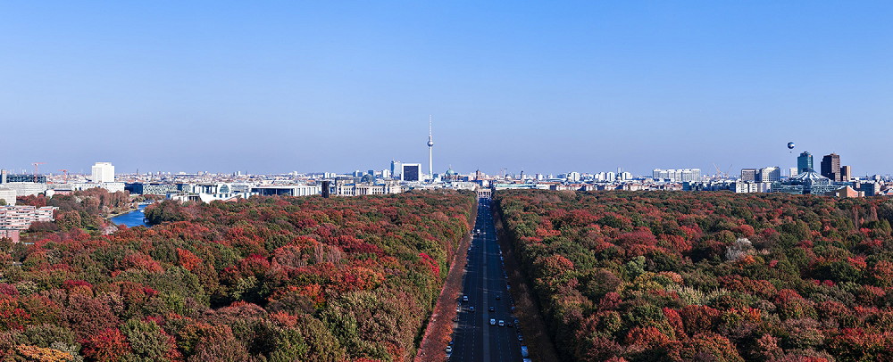 Muurschildering - Luchtfoto van de Tiergarten in Berlijn met herfstkleurig gebladerte en de televisietoren aan de horizon