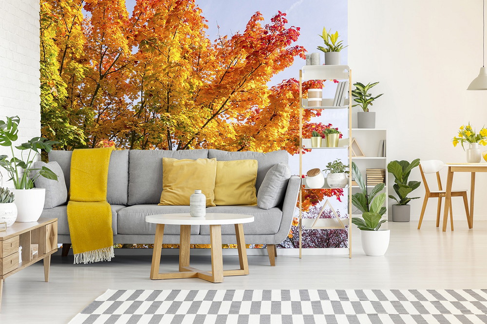 Wall mural - Modern living room with grey sofa, yellow ceiling and autumnal tree leaves as wall decoration