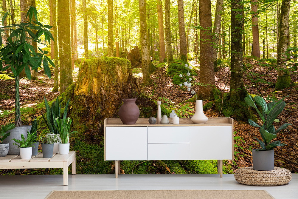 Fototapete - Wohnzimmer mit dekorativer Waldtapete, Pflanzen und weißen Möbeln
