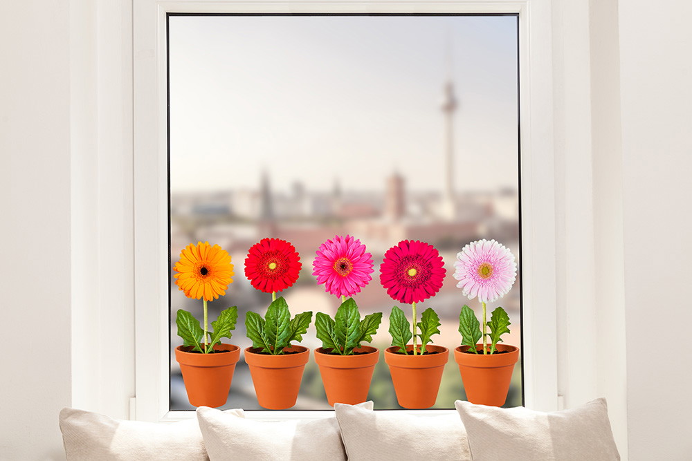 Fenstersticker - Fünf blühende Gerbera in verschiedenen Farben in Blumentöpfen auf einem Fensterbrett, mit unscharfer städtischer Umgebung im Hintergrund