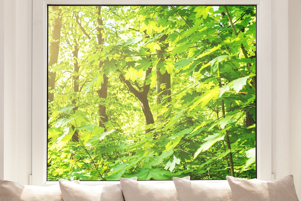 Raamfolie - Uitzicht in een groen bos