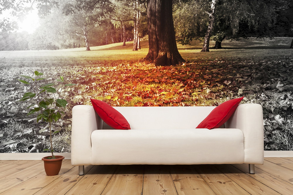 Fototapete - Weißes Sofa mit roten Kissen vor einer Fototapete, die einen herbstlichen Park mit Bäumen und Laub zeigt